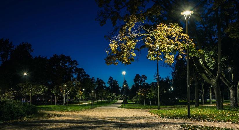 Miért van több pollen a városokban? A városi fények titokban meghosszabbítják a pollenszezont