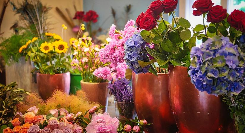 Hol bukkanhatnak fel a NAV revizorai a tavasz első napjaiban?