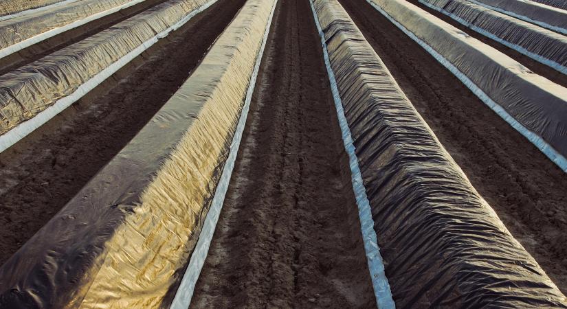 Káros lehet műanyaggal takarni a talajt