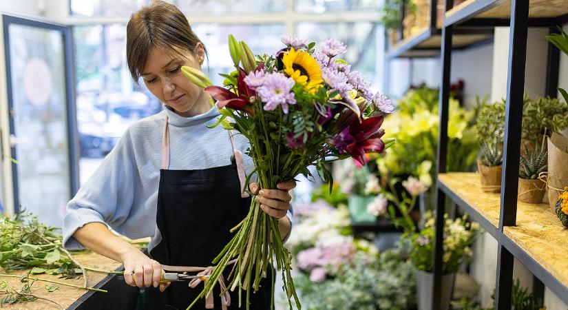 Legyen óvatos, ha ilyen vállalkozása van – jön a NAV
