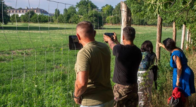 Ez lenne az új Hatvanpuszta? Hihetetlen, ami a 340 milliós projekt kerítése mögött rejtőzik