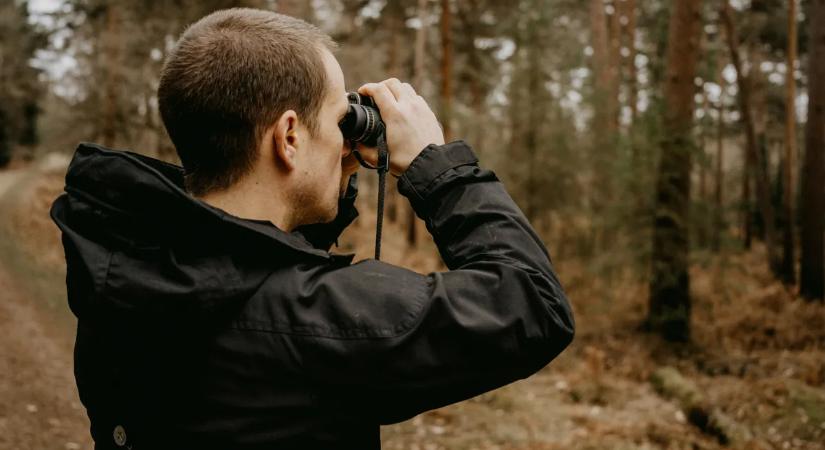 Akadálymentes madármegfigyelés: kerekesszékből is lehet igazi madarász? A válasz meglepő