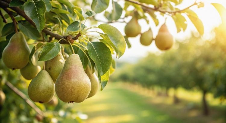 Kettéváló piac, fogyó készletek