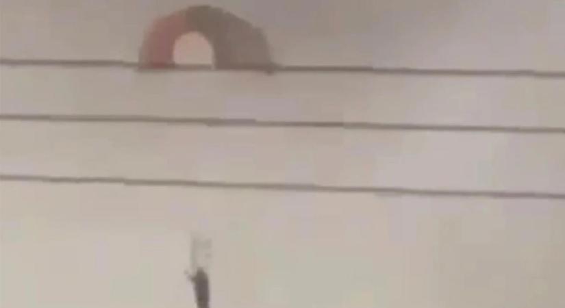 Kuvait véletlenül lelőtte a szövetséges amerikai légierő három vadászgépét