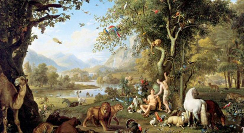 Szerencsejátékra cseréli profilját a Magic Eden NFT-tőzsde