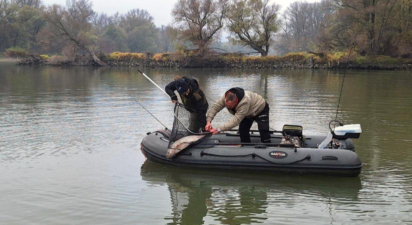 Horgászok, figyelem: kezdődik a tilalmi időszak, ezekre a halakra mostantól tilos lőni