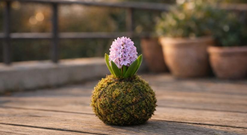 Lebegő zöld gömbökbe zárt tavaszi hagymások: dekorálj idén másképp a virágokkal!