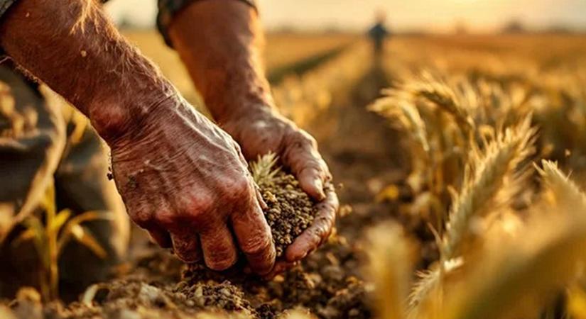 Ez az olaj tele van a „fiatalság vitaminjával”: Megállítja az öregedést és védi a szívet