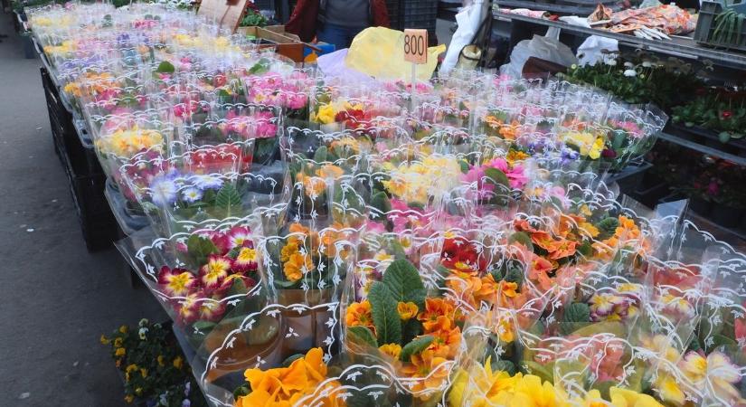 Virágot, bonbont, apró ajándékot adna? Milliós bírság is lehet a nőnapi meglepetés