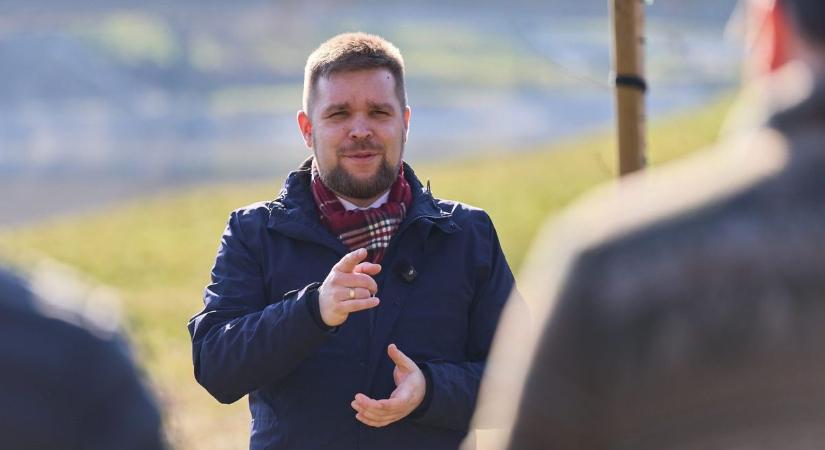 Nemzeti Faültetés Napja Győrben: 53 új fa és további zöld lépések