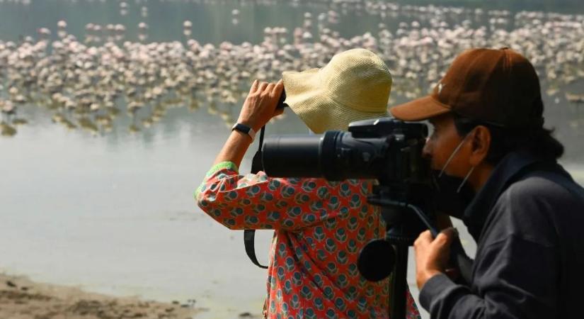 Kiderült, melyik hobbi védi leginkább az agyat