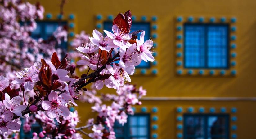 Húsvét a Zsolnay Negyedben 2026 Pécs