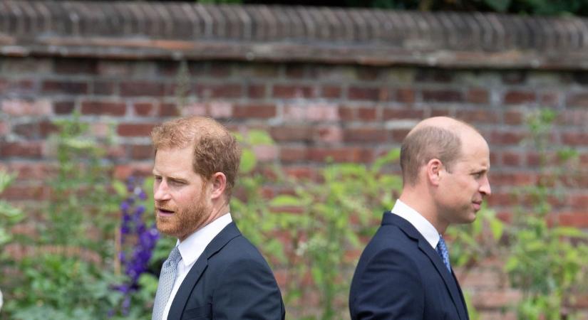 „Rosszabb már nem is lehetne” – így látja Vilmos és Harry kapcsolatát a királyi szakértő