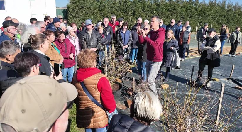Nyílt nap a kertészetben: a metszés fortélyai a középpontban