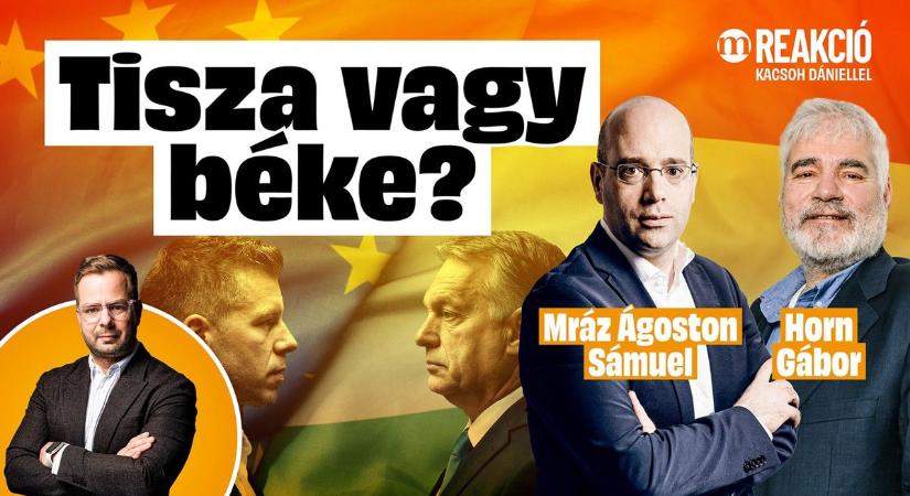 „Brüsszelben kötné ki a kompot Magyar Péter” – Mráz Ágoston Sámuel és Horn Gábor parázs vitája a Reakcióban (VIDEÓ)