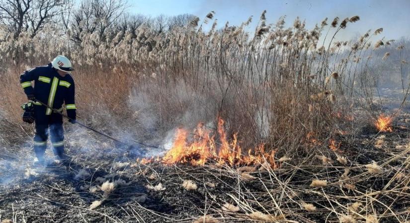 Lángoló nádasok és árokba borult autó: Brutális hétvégén vannak túl a lánglovagok Somogyban