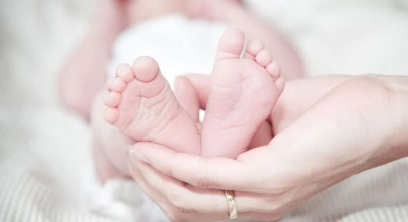 Isten hozott Manka, Rozi, Letti, Konor - ők a legfiatalabb Vas vármegyeiek