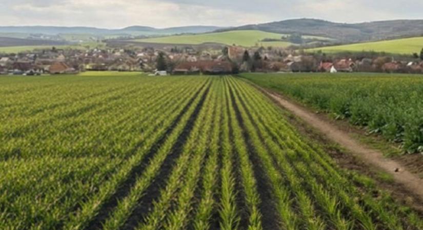 Fejtrágyázza idejében az őszi búzát és a repcét!