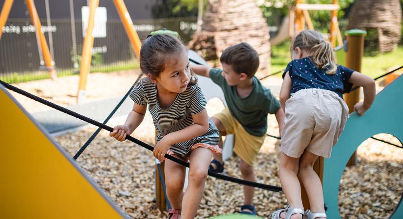 SNI: egy címke, ami segít – vagy megbélyegez?