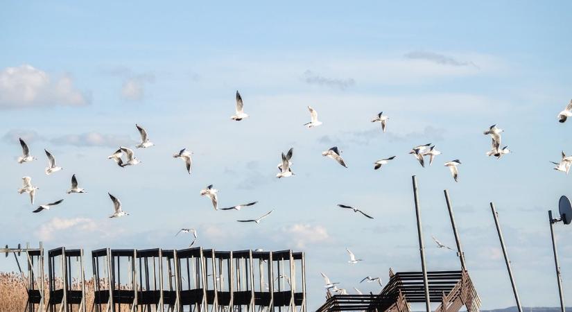 Végre igazi tavaszi idő jön Veszprém vármegyébe!