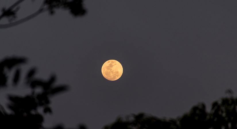 Kedden este láthatjuk az idei első tavaszi teliholdat