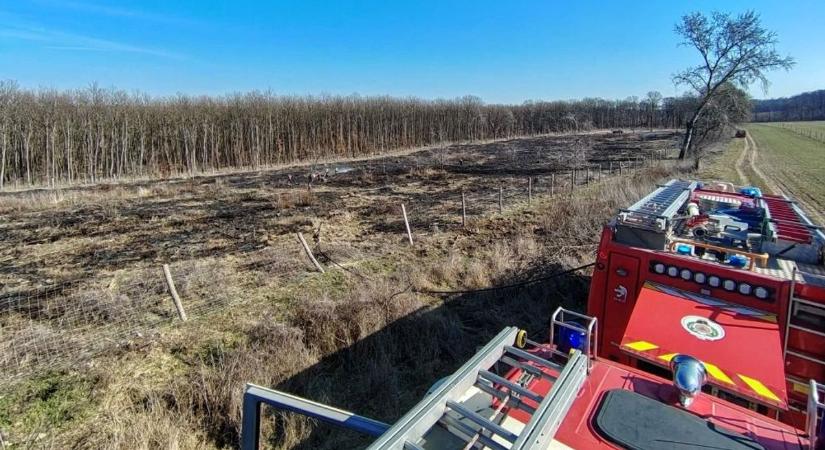 Helyszíni fotókon a vérteskethelyi szabadtéri tűz, több hektárnyi erdőrész égett