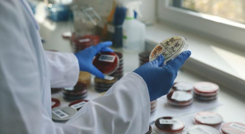 Amilyen ijesztő a neve, olyan szörnyű ez a fertőzés – több hajdú-bihari betegnél is kimutatták