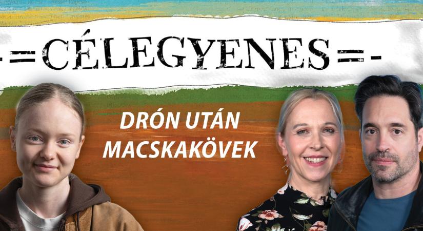 Egyetlen dolog van még, amivel Orbánék nyerhetnek – Célegyenes