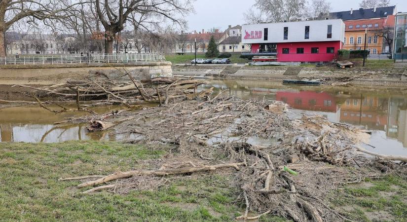 Uszadékfa okoz torlaszt a Radó szigetnél Győrben - Elképesztő fotókon mutatjuk!