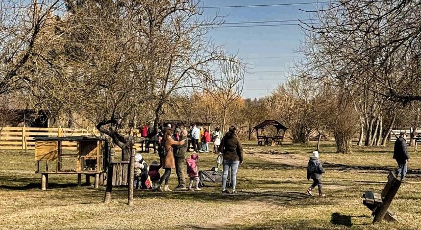 Elárasztották a látogatók a Hatvani Vadasparkot, több százan érkeztek az oázisba