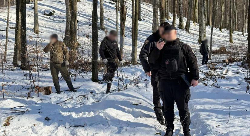 Illegális fakivágást dokumentáltak a szolyvai erdőgazdaság területén