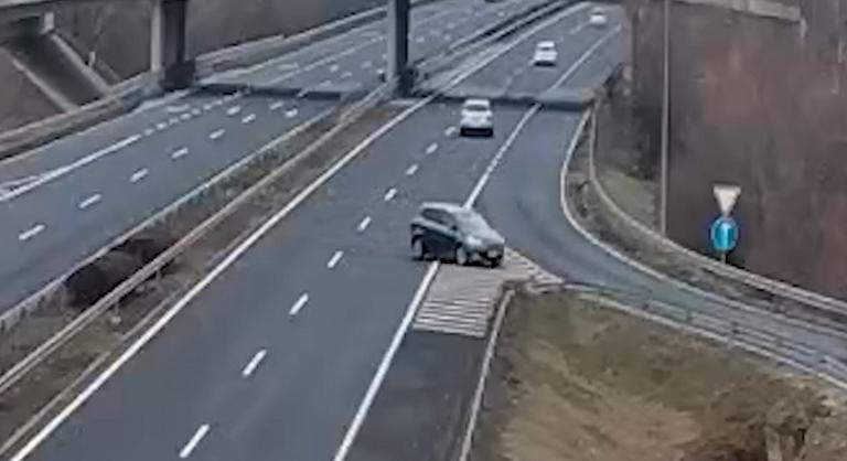 Kilométereken át a forgalommal szemben haladt egy autós az M7-esen, végül egy felhajtón hajtott le a pályáról