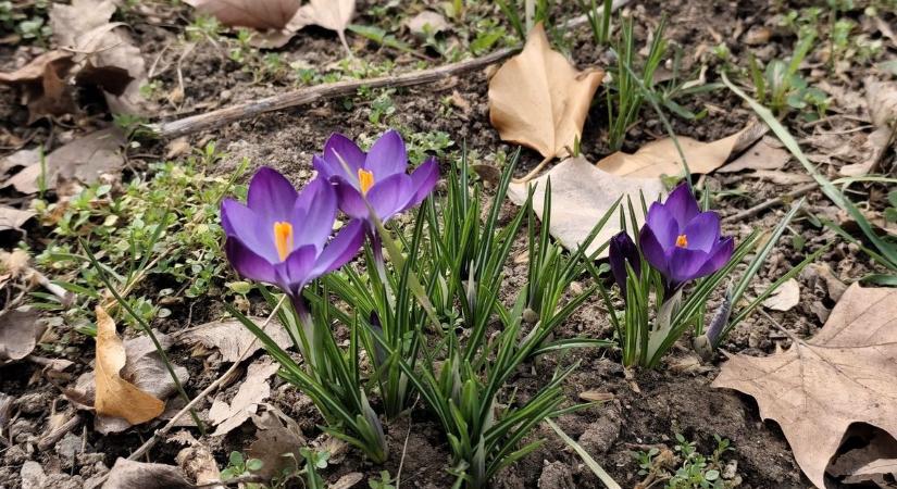 Kedden marad a csodaszép tavaszi időjárás? Mutatjuk!