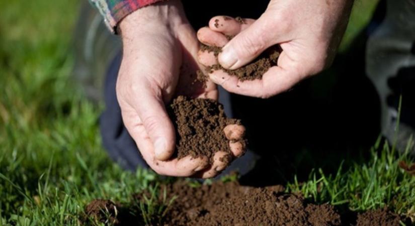 A talaj színe mint egészségmutató: olcsó, gyors, szemléletes eszköz a gazdáknak