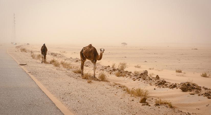Sivatagi por variálja meg az időjárást kedden