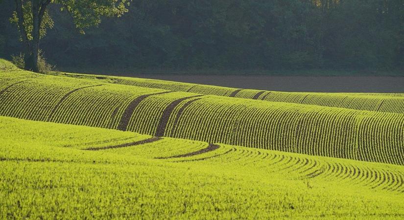 3 napos előrejelzés: Tavaszias meleg váratlan záporokkal, bármikor félbeszakadhat a munka