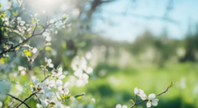 Hamisítatlan tavaszi időt hoz a kedd