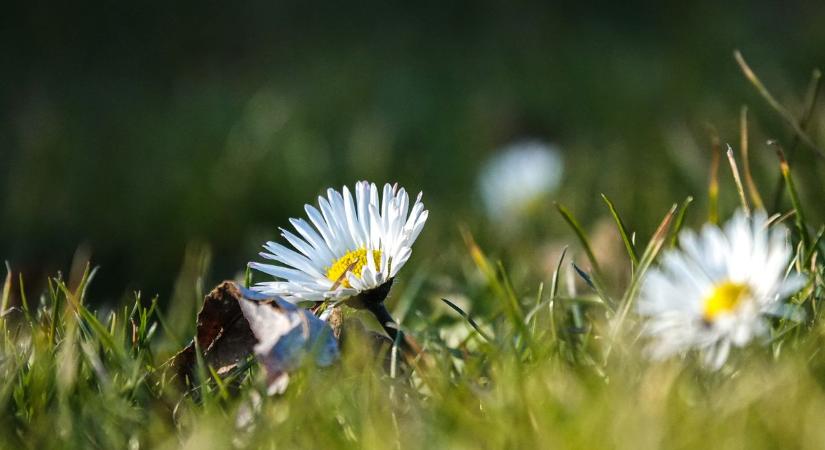 Beragyogja a nap Veszprém vármegyét