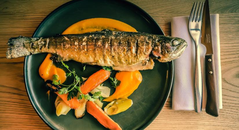 Kiderült, a magyarok egyik kedvenc halában van a legtöbb mérgező higany