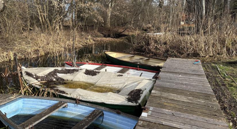 El kell dönteni, mit akarunk a Balatonnal