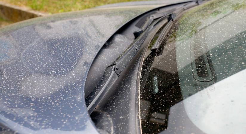 Meglepő fordulat az időjárásban: kiderült, hogy nem a felhők okozzák most a homályt – szaharai por borítja be az eget