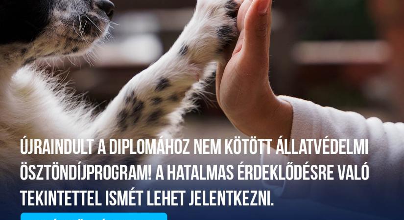 Újraindult a diplomához nem kötött állatvédelmi ösztöndíjprogram