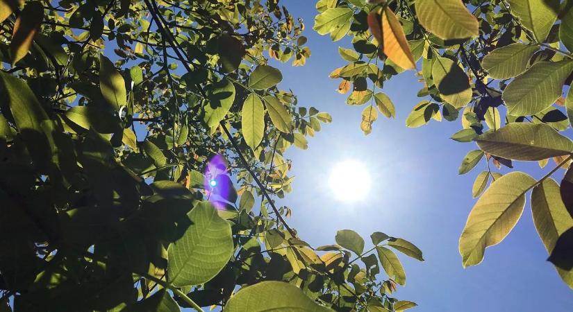Beköszöntött a tavasz! – Március csoda időjárást hoz nekünk