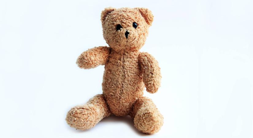 Plüssmackót vásárolt a charity shopban: emberi hamvakat talált benne