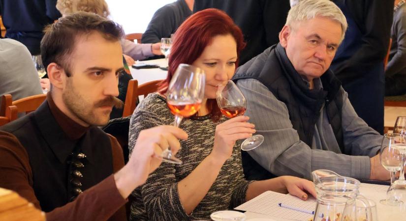 A kistérség legjobb borait kóstolták (galéria)