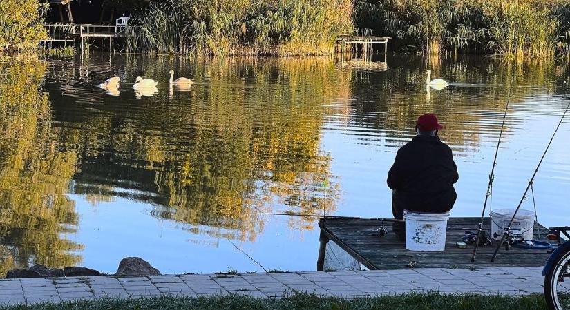Tiltott helyen horgászott, videó buktatta le a mohó pecást