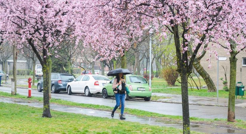 Kedden rákapcsol a tavasz, de napközben váratlan fordulhat jöhet