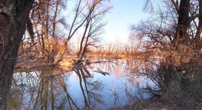 Látványosan apad a Duna az árhullám után