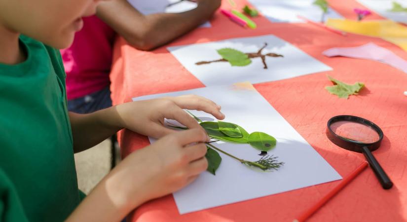 Katonai túlélő, varázsló vagy gamer: ilyen különleges táborok között válogathattok a nyáron