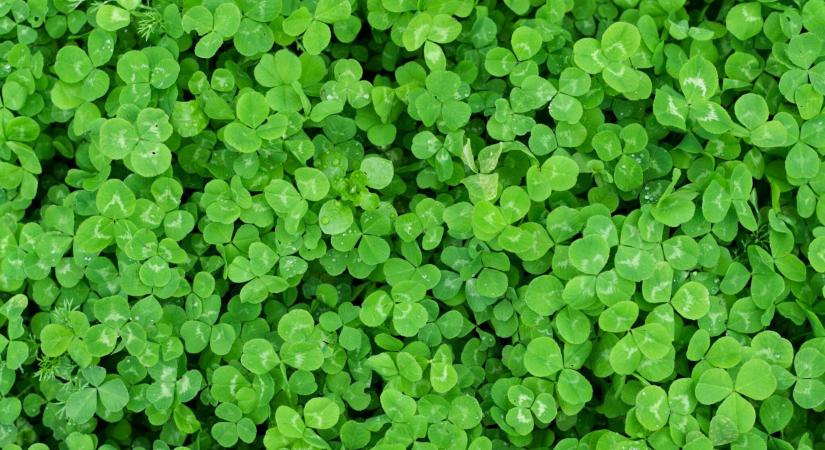 Váratlan fordulat és jó hírek: ezek a csillagjegyek lehetnek a hónap nyertesei